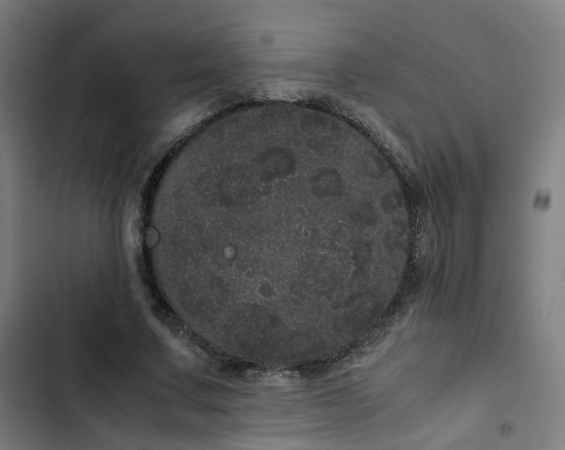 X0000103270683200809051507