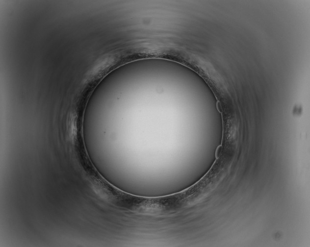 X0000103270685200809051507