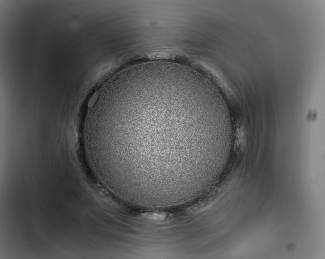 X0000103270687200809051507