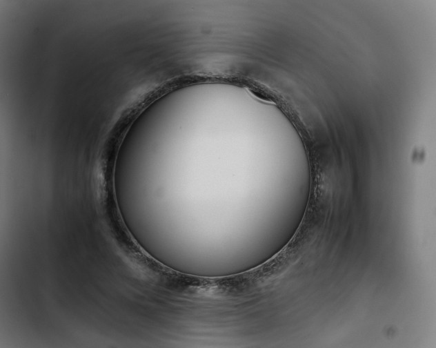 X0000103270688200809051507