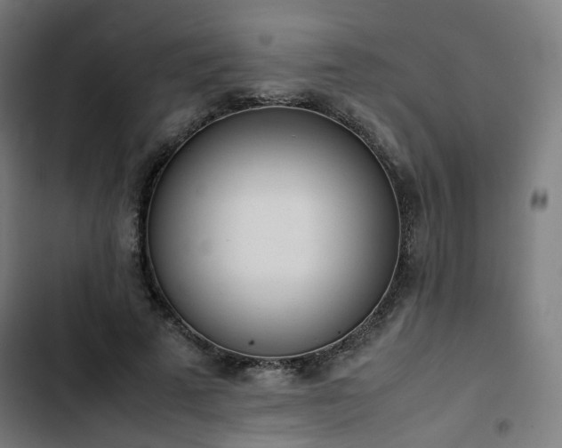 X0000103270689200809051507