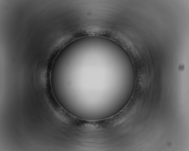 X0000103270690200809051507