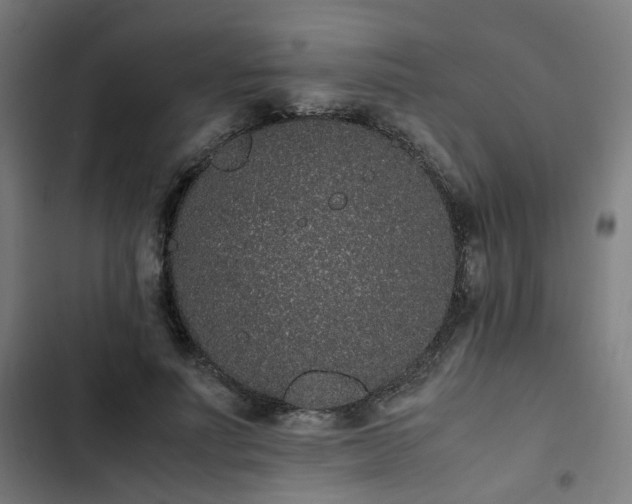 X0000103270691200809051507