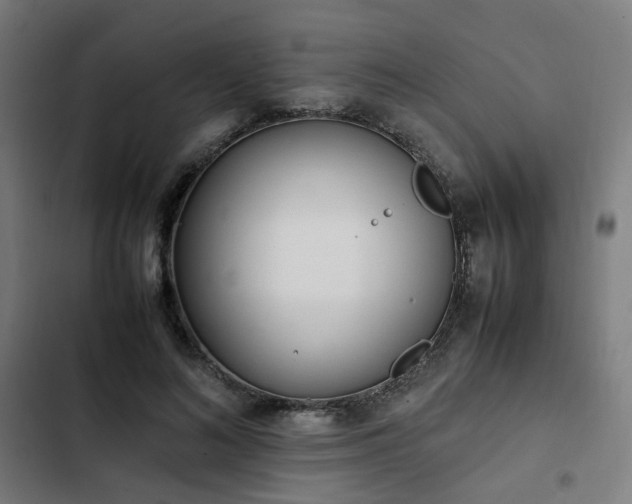 X0000103270692200809051507