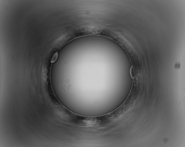 X0000103270693200809051507