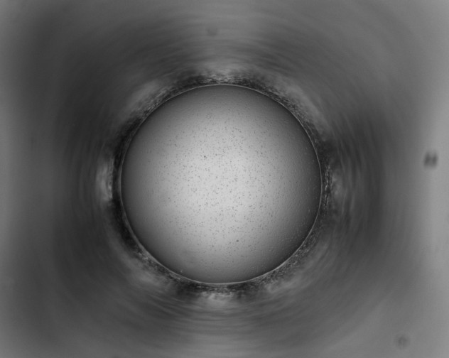 X0000103270694200809051507
