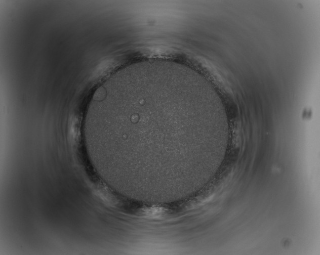 X0000103270695200809051507