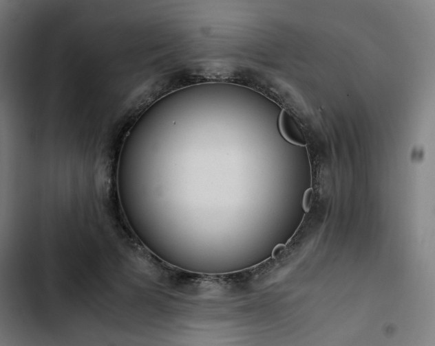 X0000103270697200809051507