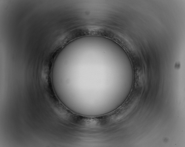 X0000103270698200809051507
