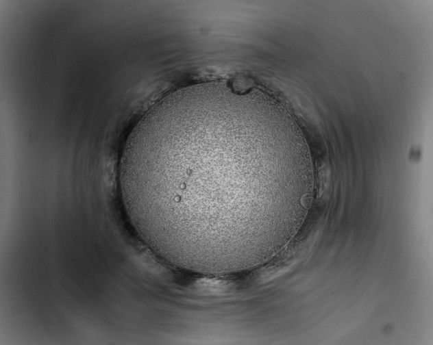 X0000103270699200809051507