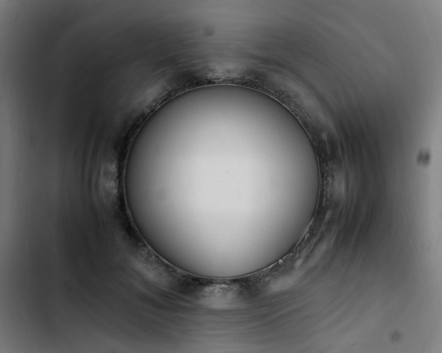 X0000103270700200809051507