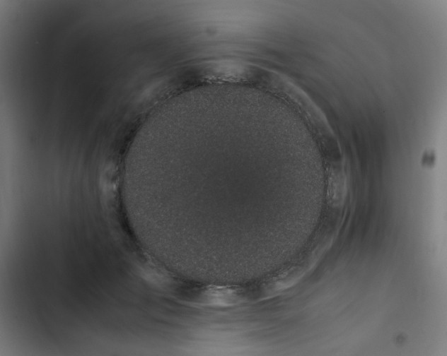 X0000103270701200809051507