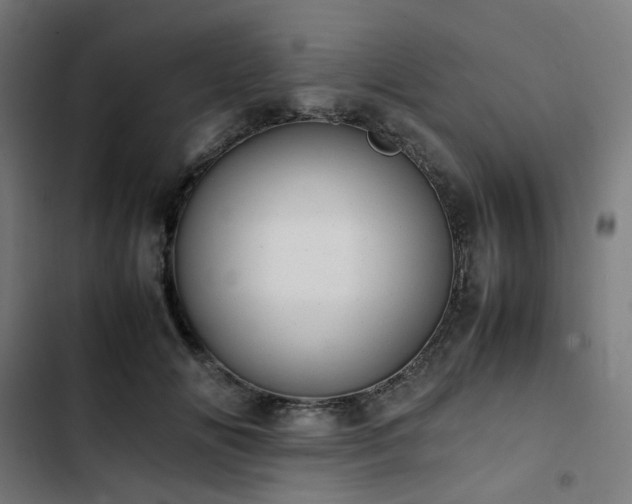 X0000103270702200809051507