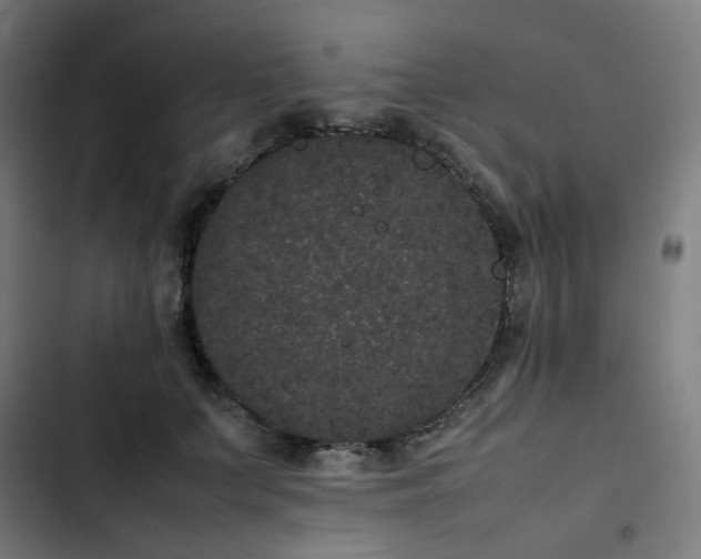 X0000103270703200809051507