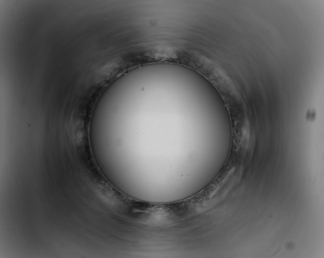 X0000103270704200809051507