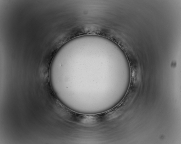 X0000103270705200809051507