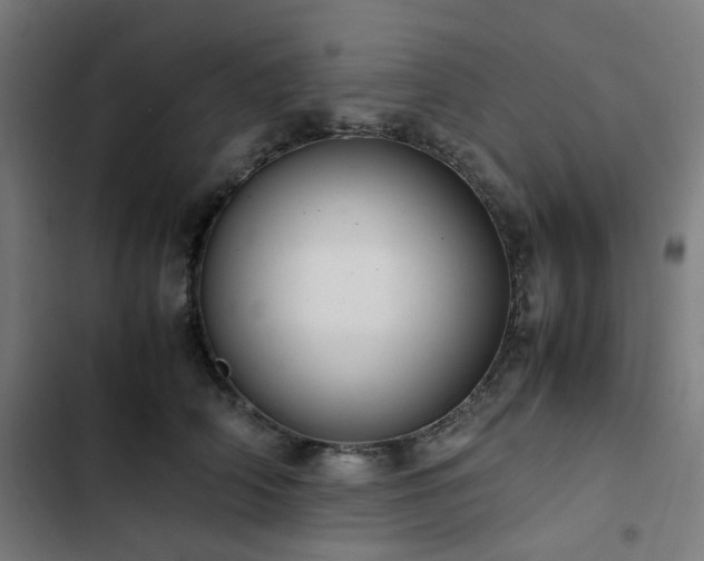 X0000103270706200809051507