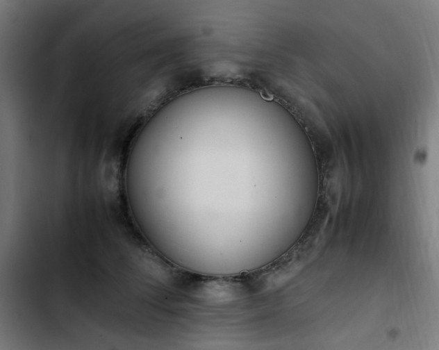 X0000103270708200809051507