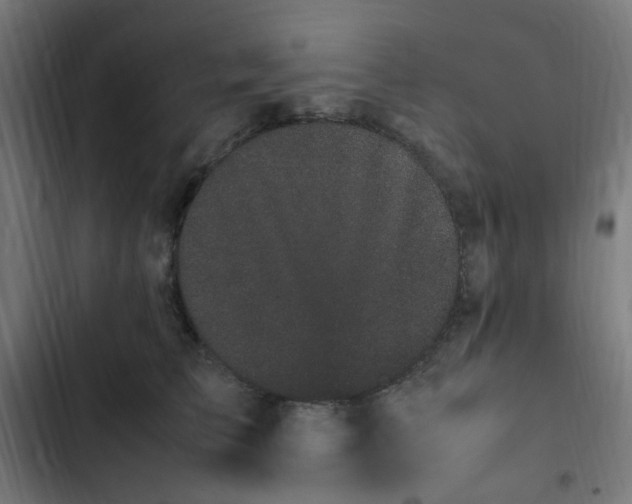 X0000103270709200809051507