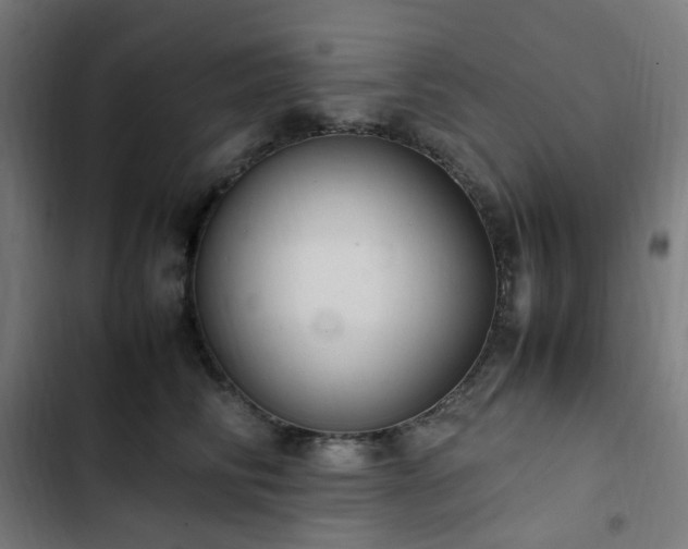 X0000103270710200809051507