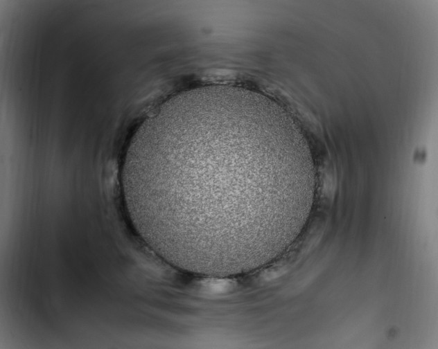 X0000103270711200809051507
