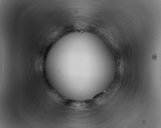 X0000103270712200809051507