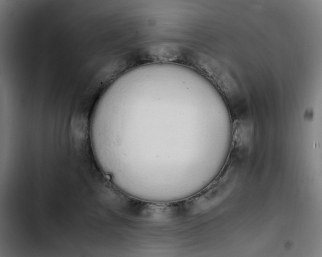X0000103270713200809051507