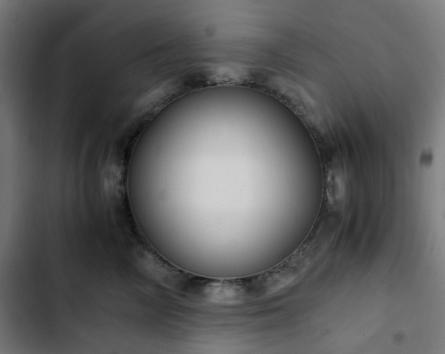 X0000103270714200809051507