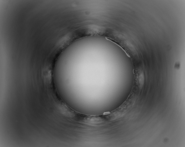 X0000103270716200809051507