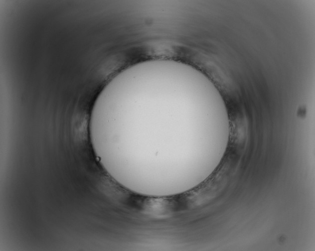X0000103270717200809051507