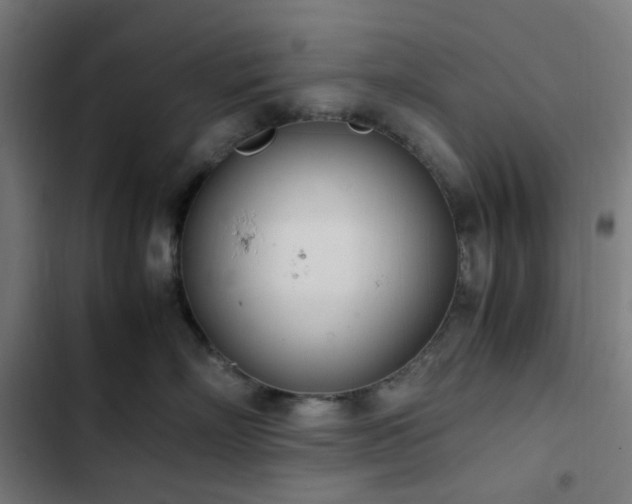 X0000103270718200809051507