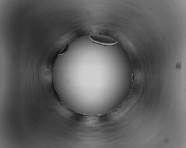 X0000103270719200809051507