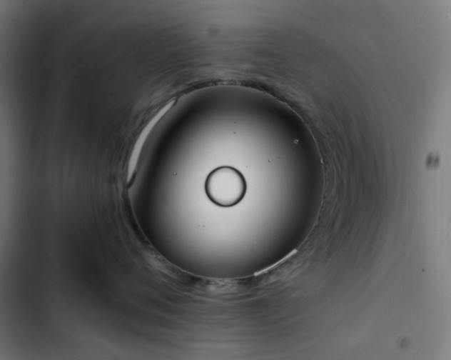 X0000103270720200809051507
