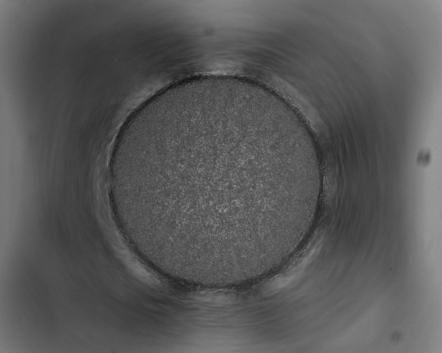 X0000103270721200809051506