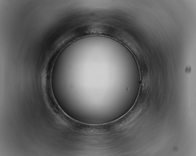 X0000103270722200809051506