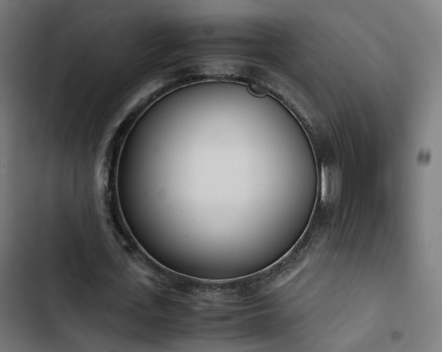X0000103270723200809051506