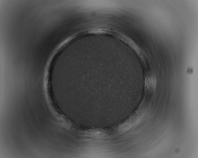 X0000103270724200809051506