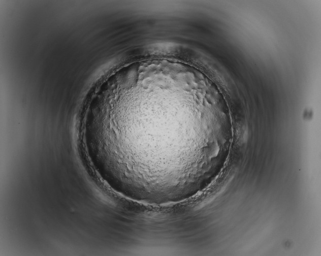X0000103270725200809051506