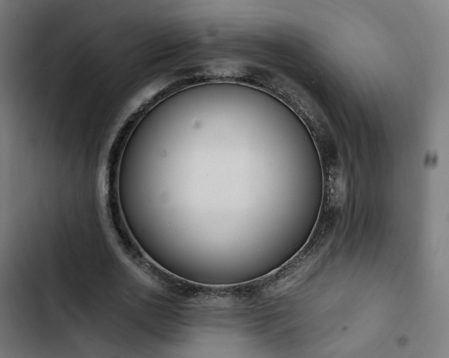 X0000103270726200809051506