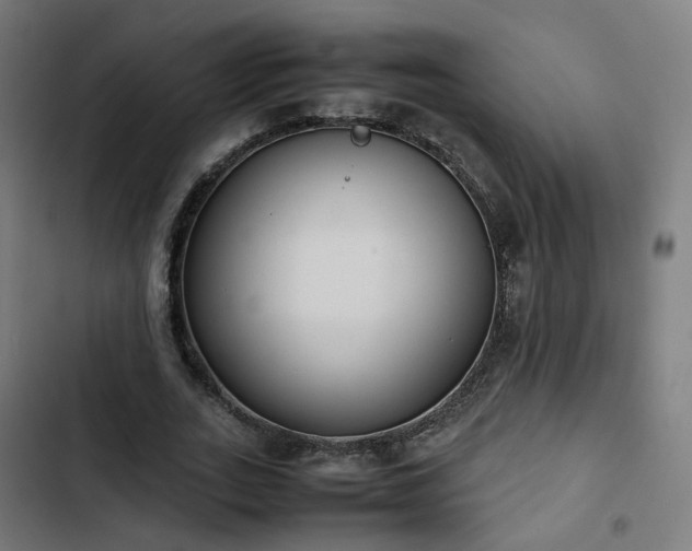 X0000103270727200809051506