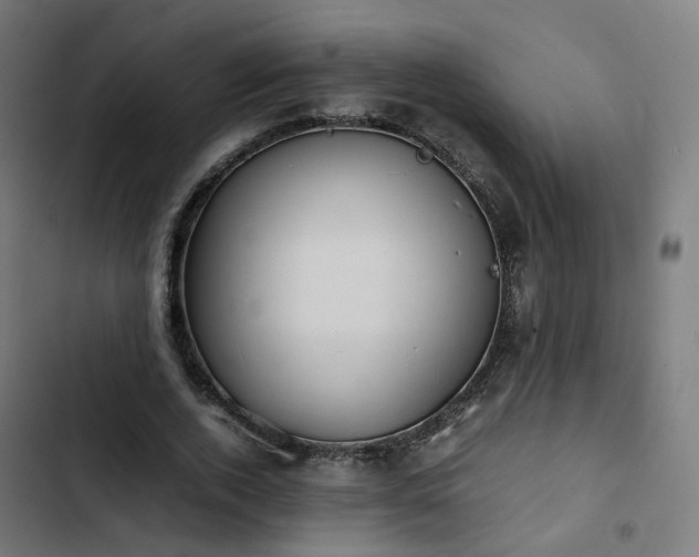 X0000103270728200809051506