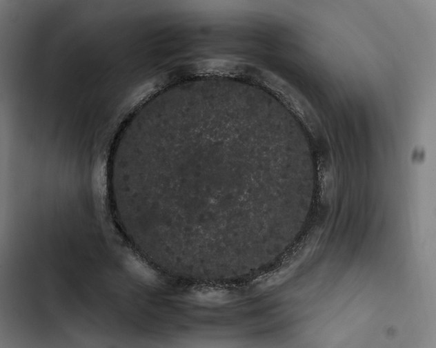 X0000103270729200809051506