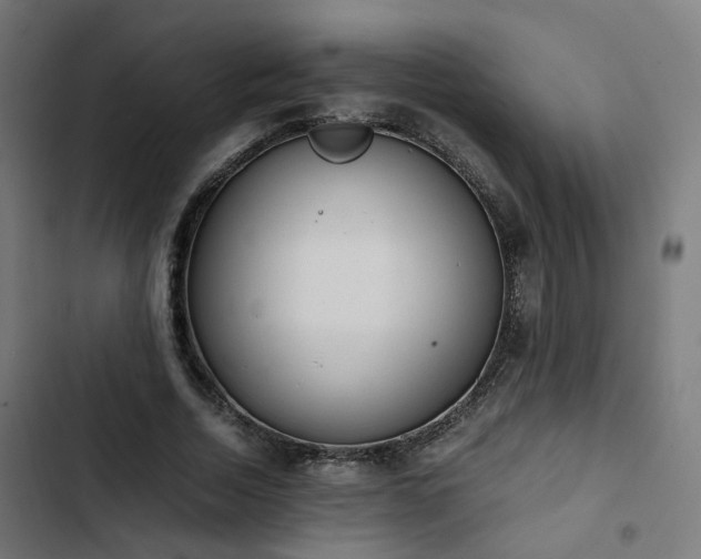 X0000103270730200809051506