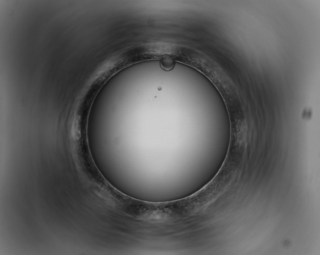 X0000103270731200809051506