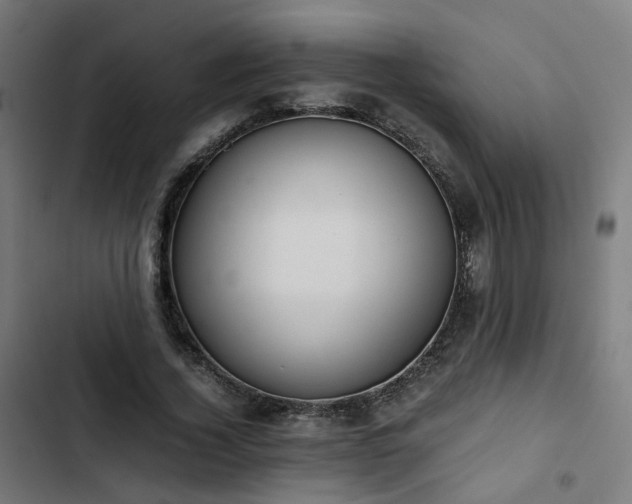 X0000103270732200809051506