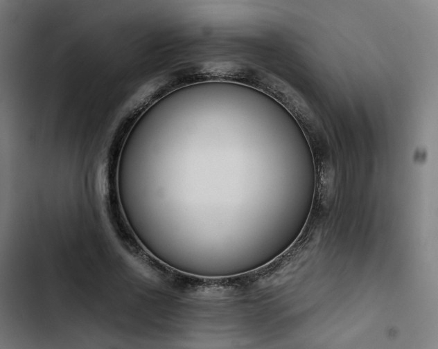 X0000103270734200809051506