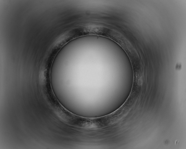 X0000103270735200809051506