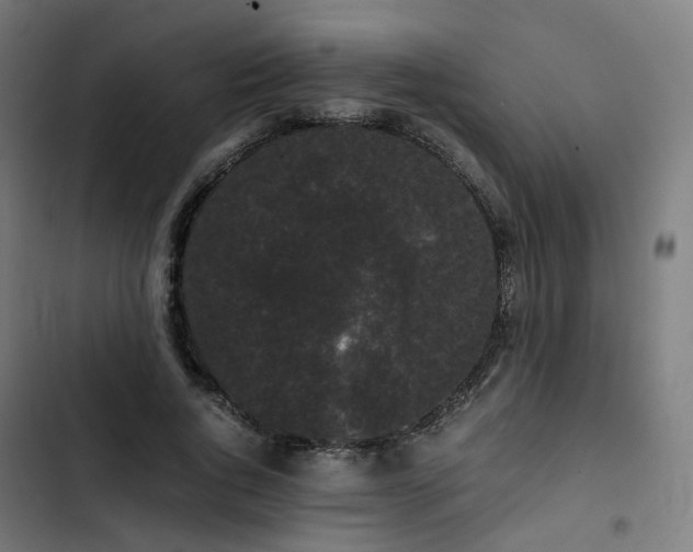 X0000103270736200809051506