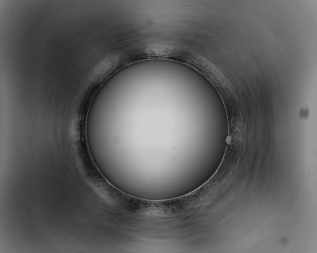 X0000103270738200809051506