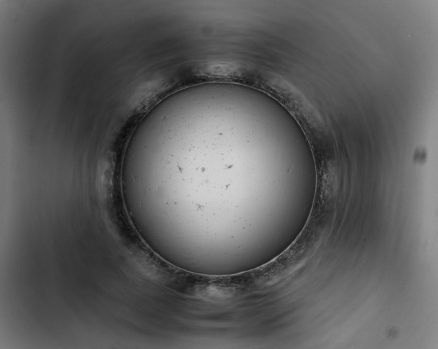 X0000103270739200809051506